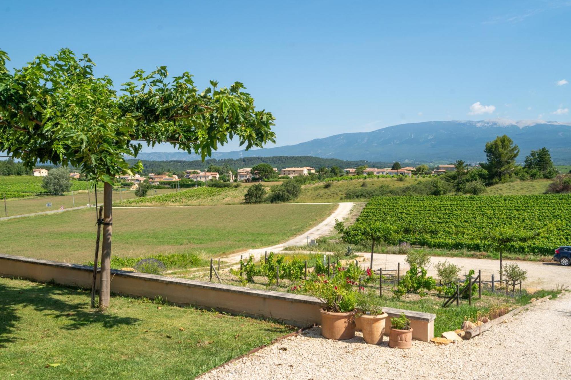 Les Terrasses De Cascavelle Villa Blauvac Luaran gambar